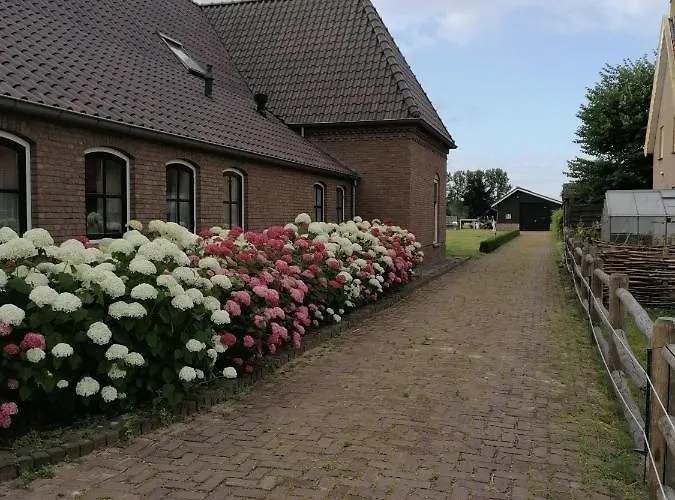 Bed & Breakfast D'n Uilenhof 3*